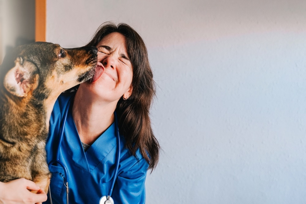 Friendly dog licking a veterinarian's face during a veterinary care visit at Animal Hospital Southwest