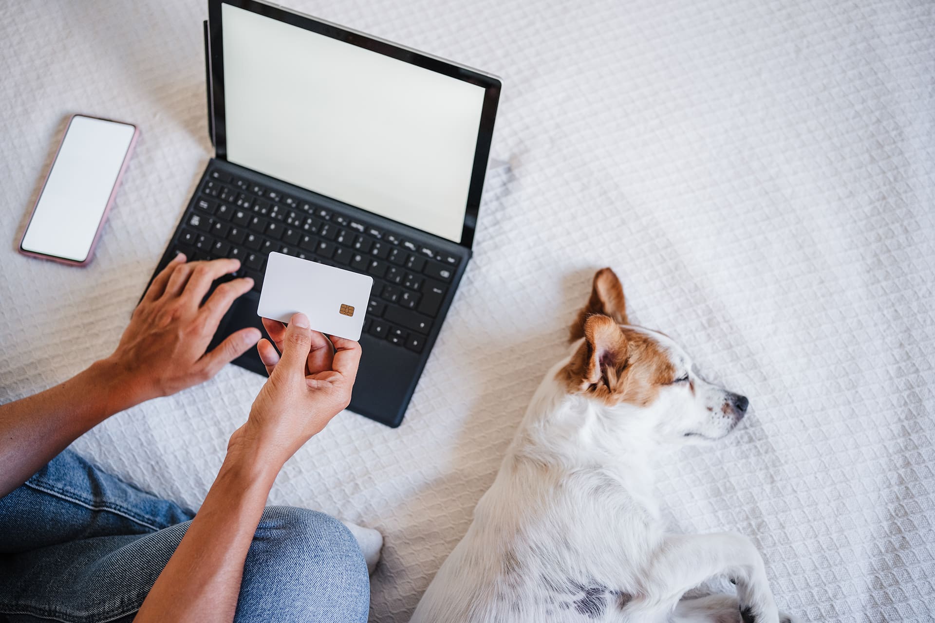 Veterinary care pricing information at Animal Hospital Southwest in Fort Worth, TX
