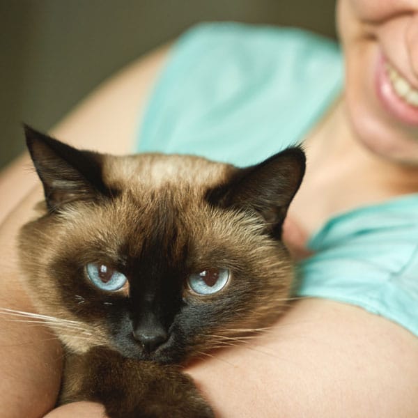 Veterinary professional at Animal Hospital Southwest welcoming a pet patient in Fort Worth
