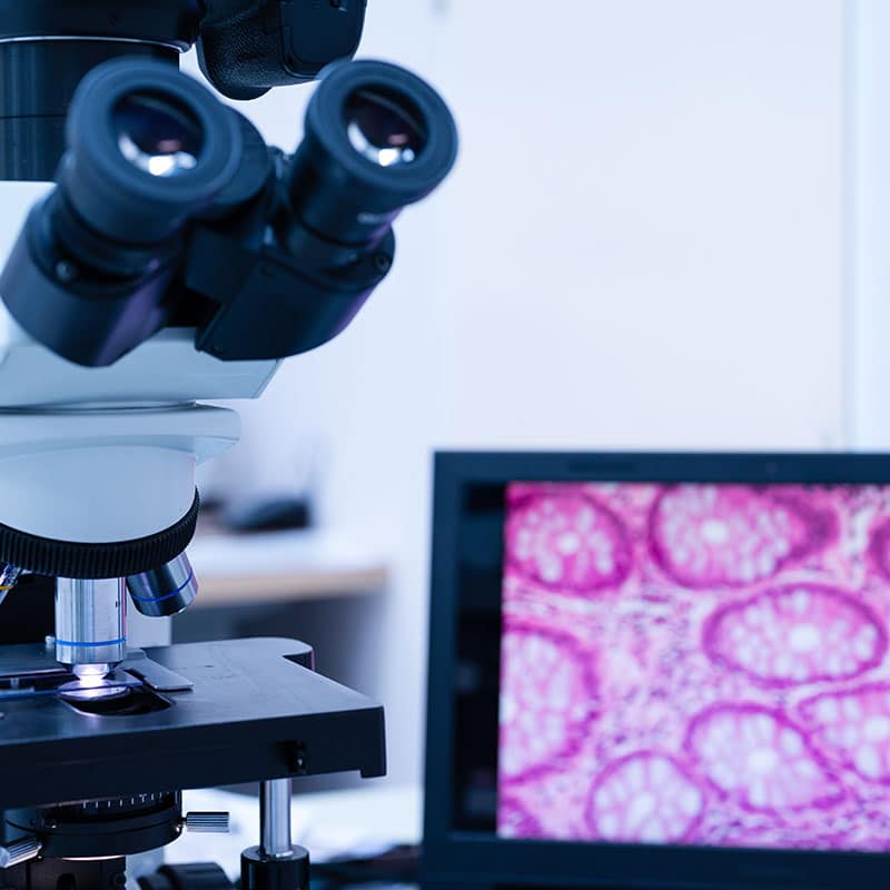 Veterinary diagnostics and surgical equipment used for pet care in Fort Worth, TX
