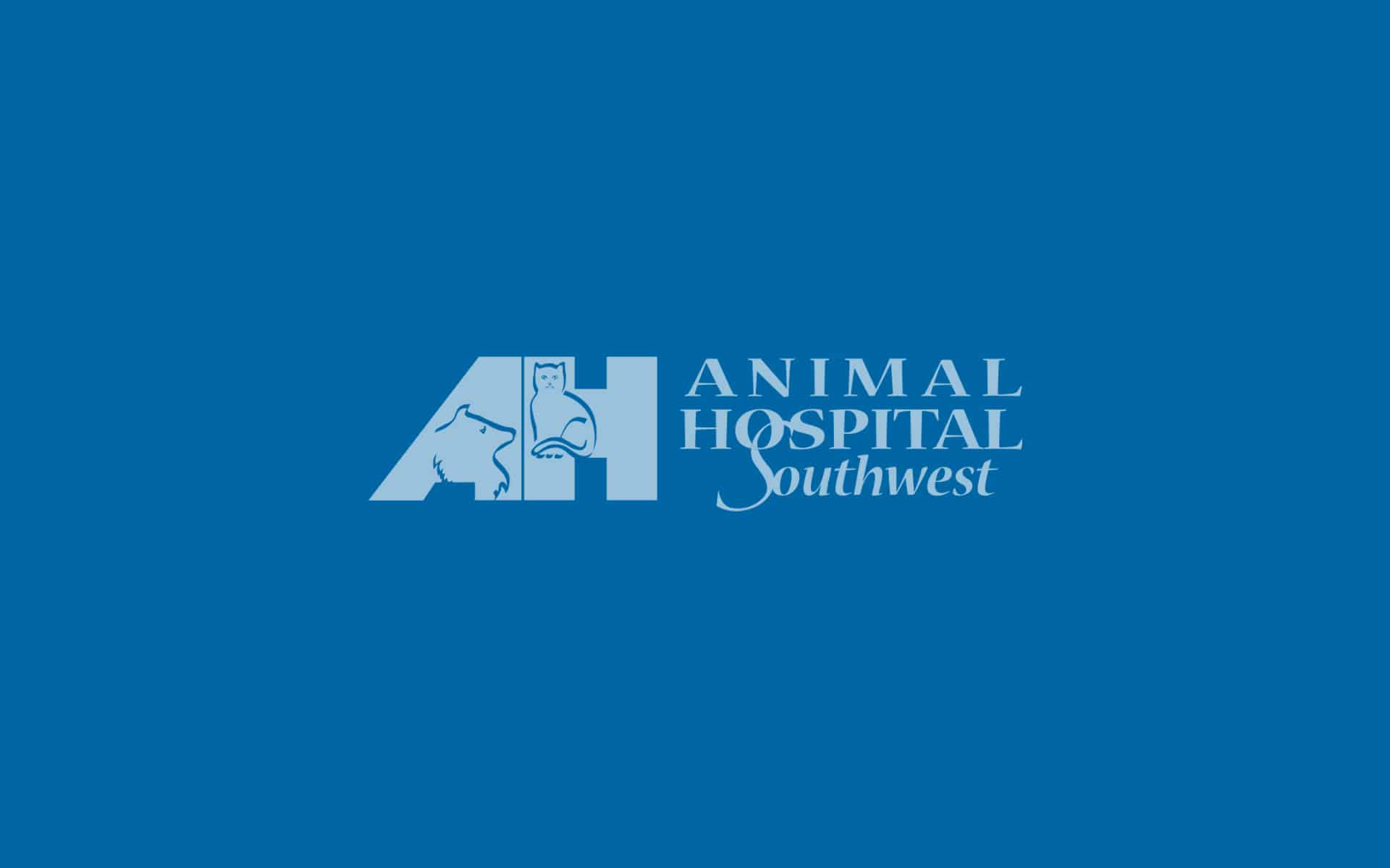 Homepage hero image featuring a happy pet and owner at Animal Hospital Southwest in Fort Worth, TX
