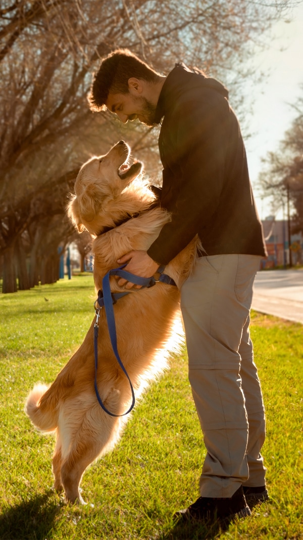 Friendly veterinary staff welcoming pets and owners at Animal Hospital Southwest in Fort Worth, TX
