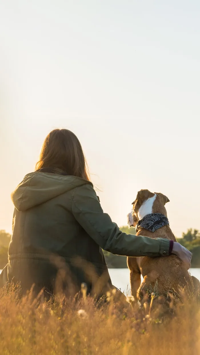 Veterinary team member caring for a pet at Animal Hospital Southwest in Fort Worth, TX
