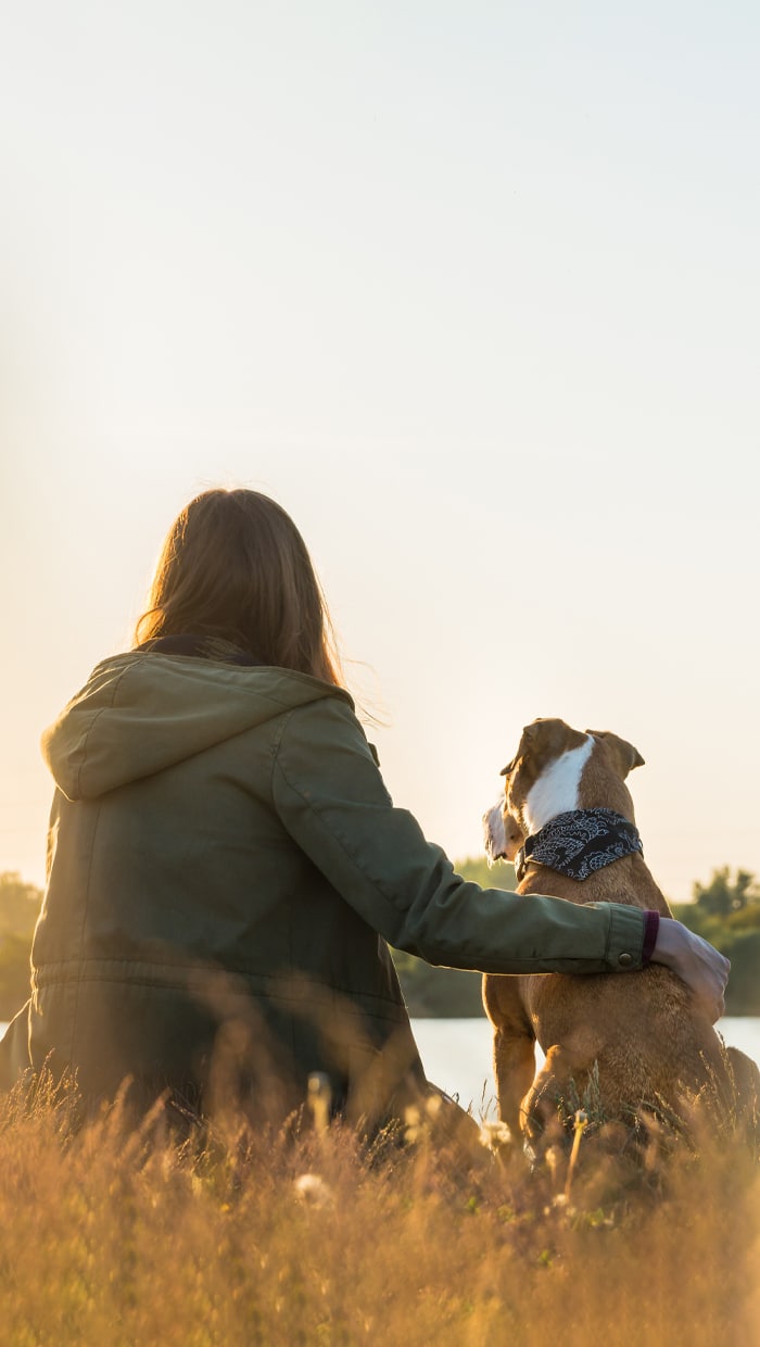Veterinary team member caring for a pet at Animal Hospital Southwest in Fort Worth, TX
